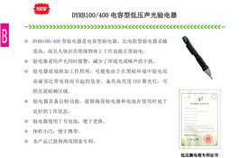 DYRB100/400 电容型低压声光验电器